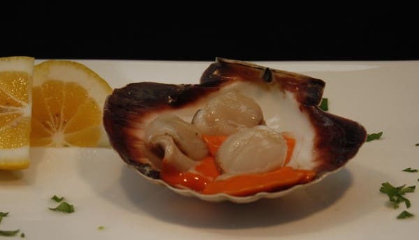 new zealand scallops